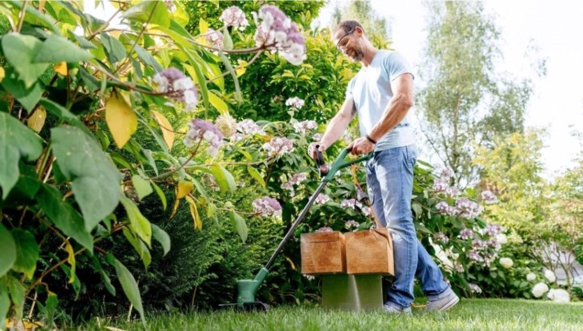 Триммер аккумуляторный BOSCH EasyGrassCut 18V-260 [06008C1C05]